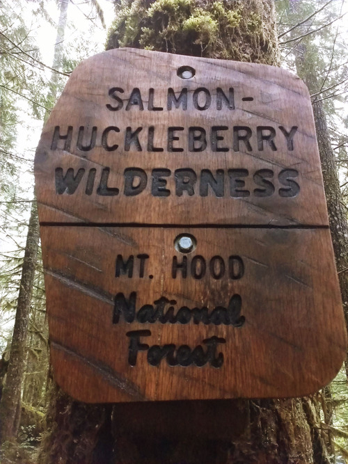 Medium salmon huckleberry