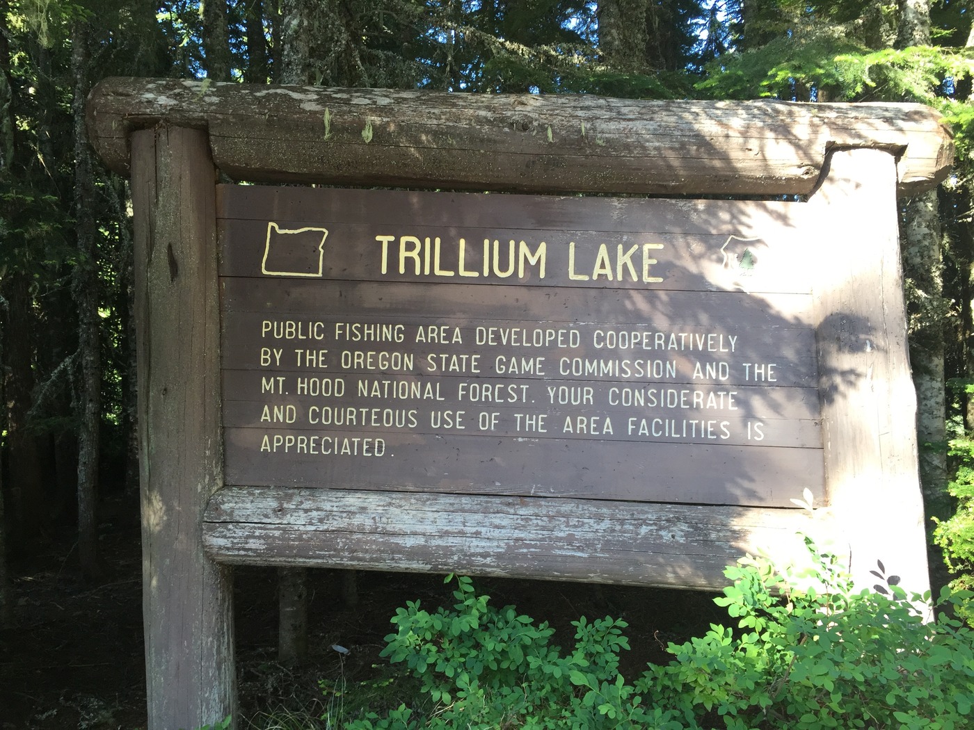 Xl trillium lake