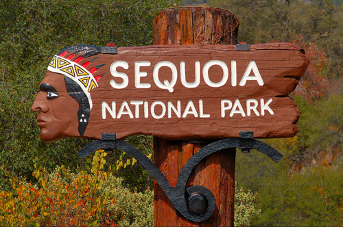 Medium ash mountain sign sequoia x6954