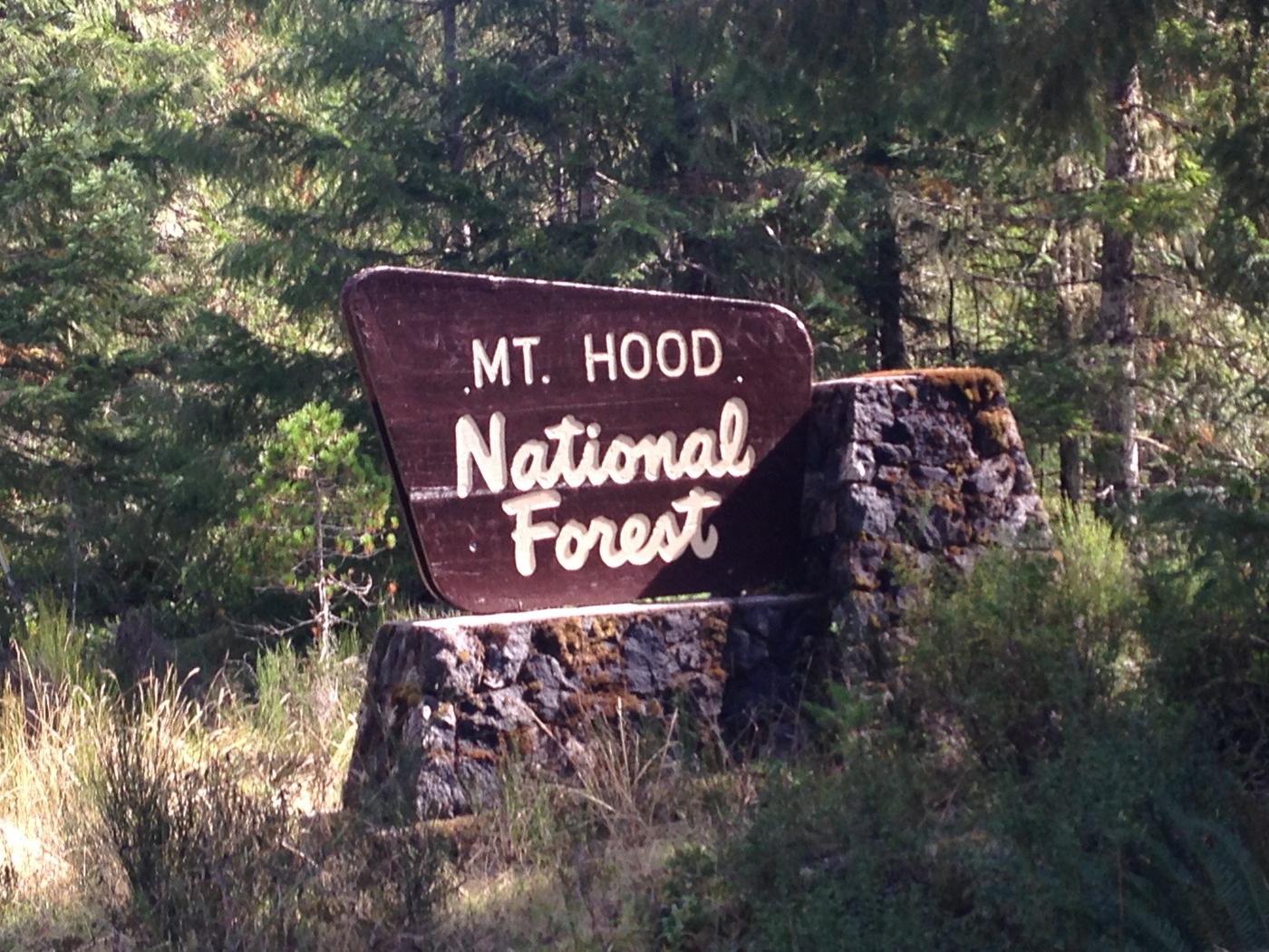 Xl mt hood national forest lolo pass