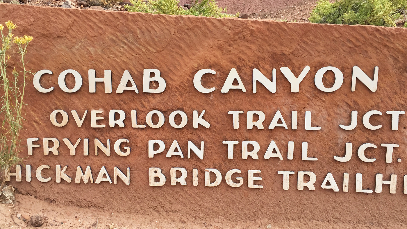 Xl cohab canyon
