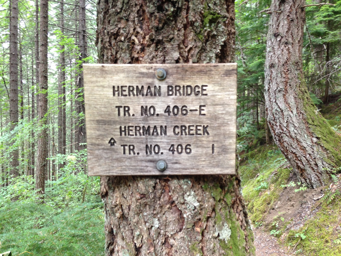 Xl herman creek 1